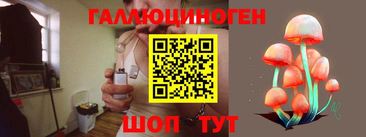 Псилоцибиновые грибы Magic Shrooms  Вход с VPN  Ленинск-Кузнецкий 